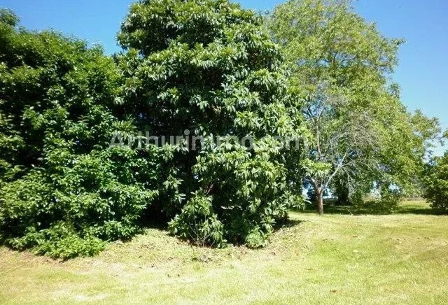 Bien vendu : Maison 125 m² Asson (64800) — photo 1
