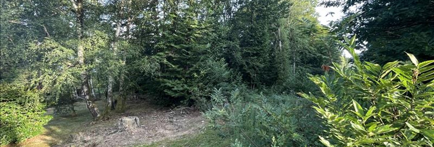 Terrain  22176 m² à vendre à Aubazines (19190)