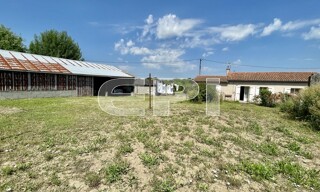 Photo N° 6