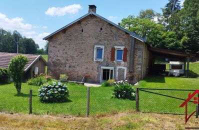 vente maison 244 500 € à proximité de Lépanges-sur-Vologne (88600)