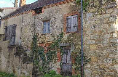vente maison 23 100 € à proximité de Mennetou-sur-Cher (41320)