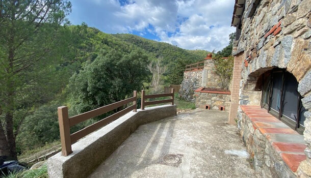 Appartement 2 pièces  à louer Arles-sur-Tech 66150