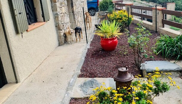 Appartement 2 pièces  à louer Arles-sur-Tech 66150