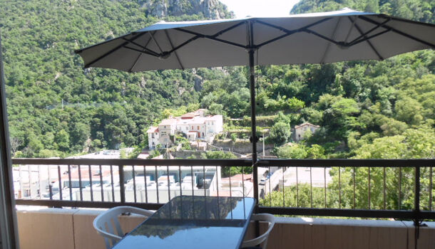 Appartement 1 pièces  à louer Amélie-les-Bains-Palalda 66110
