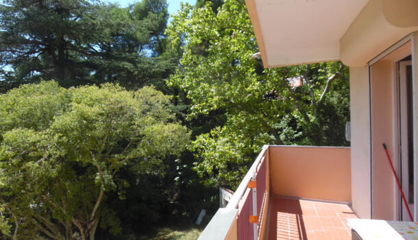 Appartement 2 pièces  à louer Amélie-les-Bains-Palalda 66110