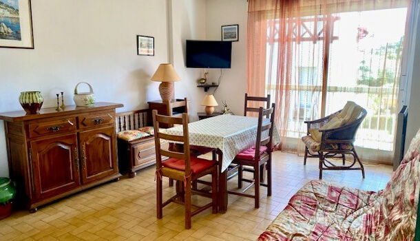 Appartement 2 pièces  à louer Amélie-les-Bains-Palalda 66110