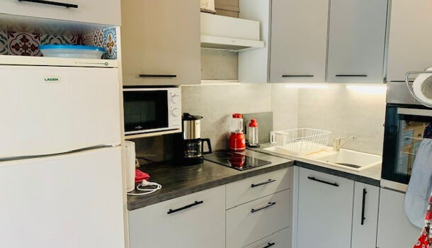 Appartement 1 pièces  à louer Amélie-les-Bains-Palalda 66110