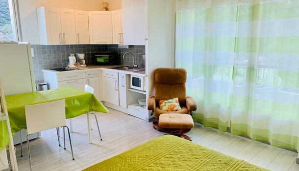 Appartement 1 pièces  à louer Amélie-les-Bains-Palalda 66110