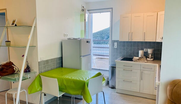 Appartement 1 pièces  à louer Amélie-les-Bains-Palalda 66110