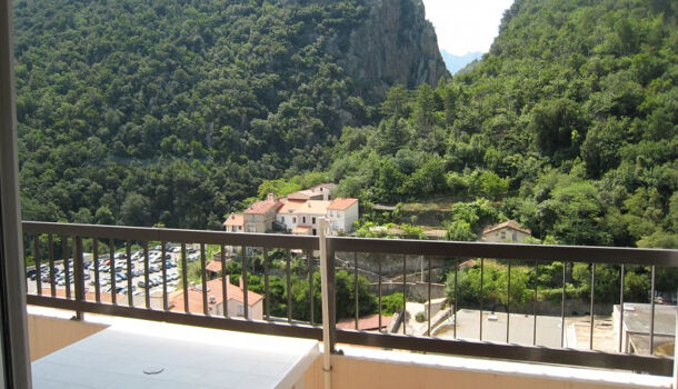 Appartement 1 pièces  à louer Amélie-les-Bains-Palalda 66110