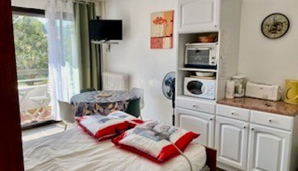 Appartement 1 pièces  à louer Amélie-les-Bains-Palalda 66110