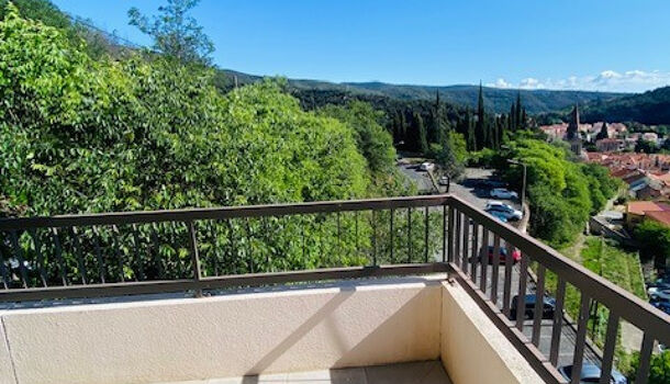 Appartement 1 pièces  à louer Amélie-les-Bains-Palalda 66110