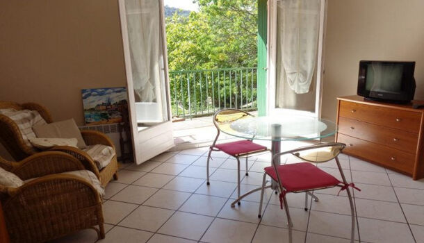 Appartement 1 pièces  à louer Amélie-les-Bains-Palalda 66110