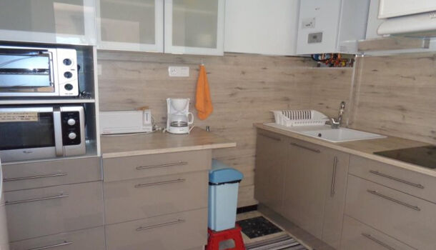 Appartement 1 pièces  à louer Amélie-les-Bains-Palalda 66110