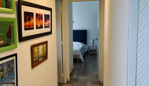 Appartement 2 pièces  à louer Amélie-les-Bains-Palalda 66110