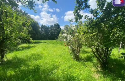 terrain  pièces 725 m2 à vendre à Mirepoix (09500)