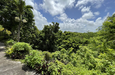 location maison 1 300 € CC /mois à proximité de Morne-à-l'Eau (97111)