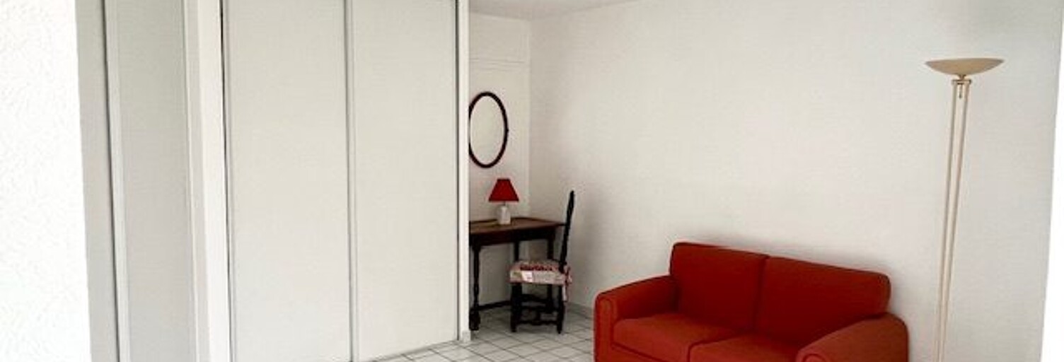 Appartement 1 Pièce 29 m² à vendre à Lyon 7 (69007)
