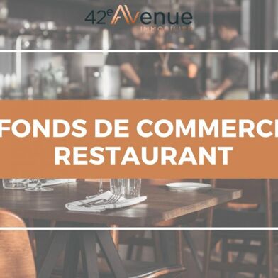 Commerce  450000 €