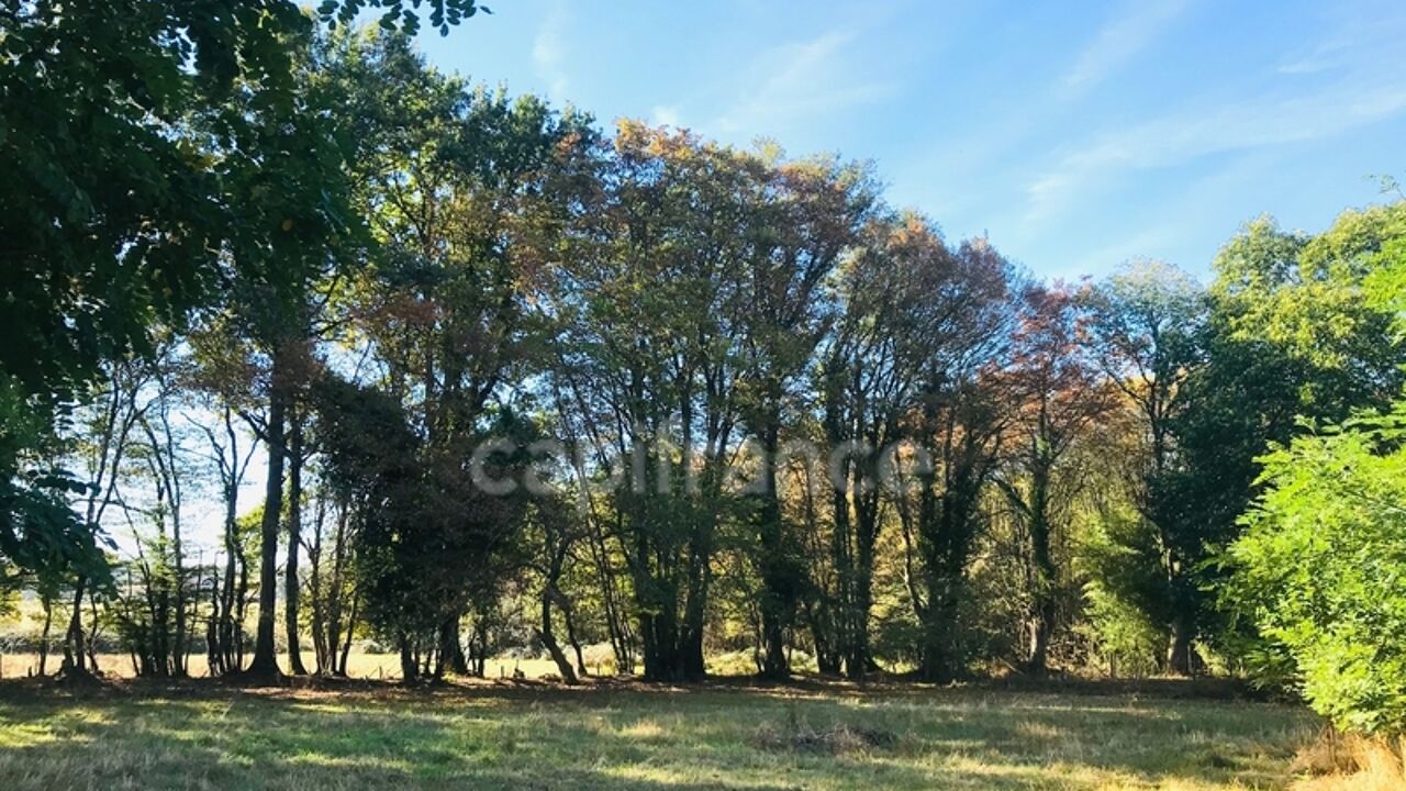 terrain  pièces 9346 m2 à vendre à Le Chautay (18150)