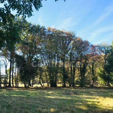 Terrain  88000 €