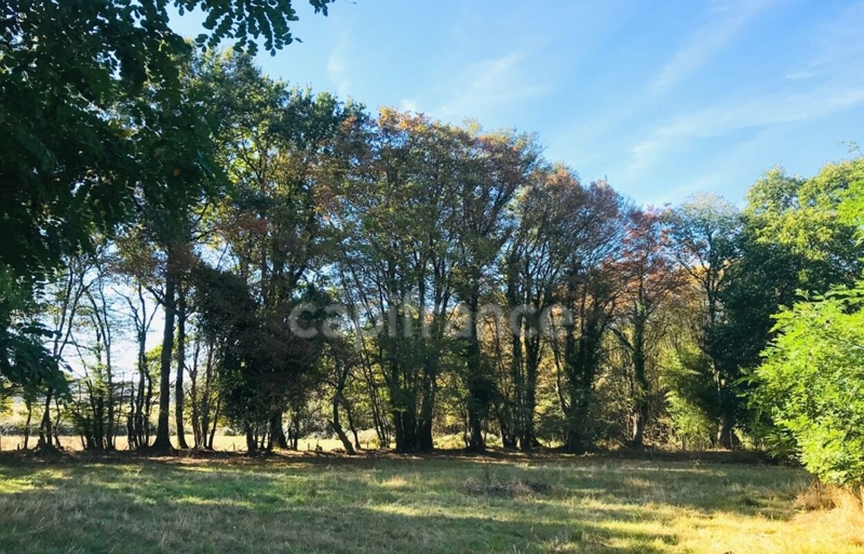 terrain  pièces 9346 m2 à vendre à Le Chautay (18150)