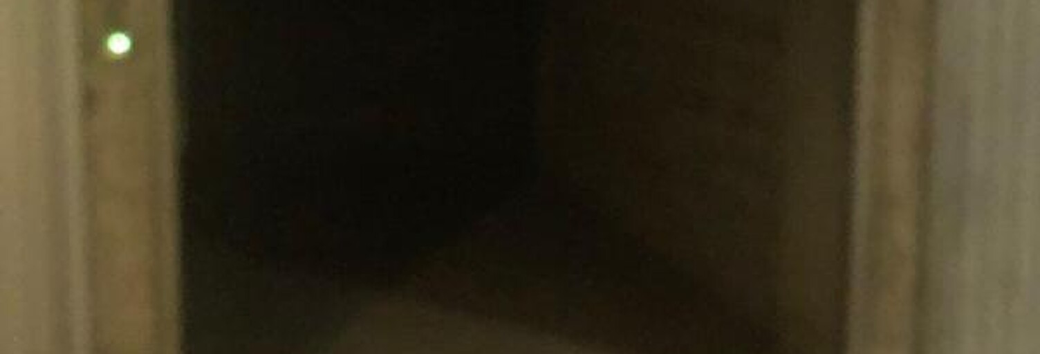 Commerce  14 m² à vendre à Lyon 7 (69007)