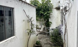 Photo N° 6
