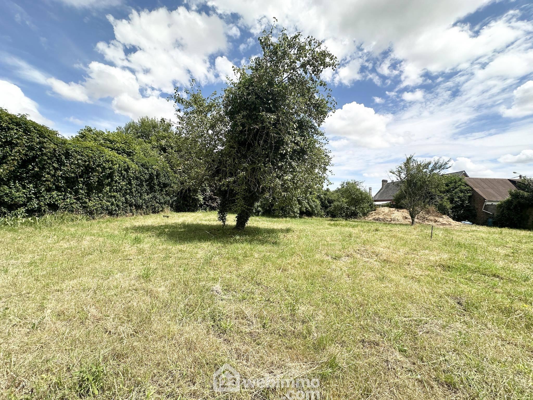 Photo Terrain à bâtir - 1298m² - Mortiers image 3/4