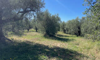 Terrain  1062 m² à vendre à Saint-Martin-du-Var (06670)