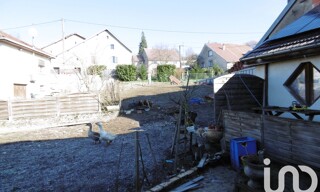 Photo N° 6
