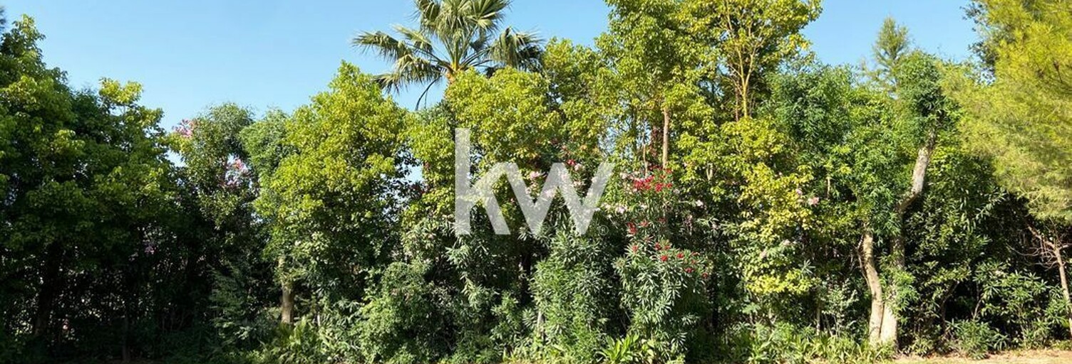 Terrain  1000 m² à vendre à Lattes (34970)