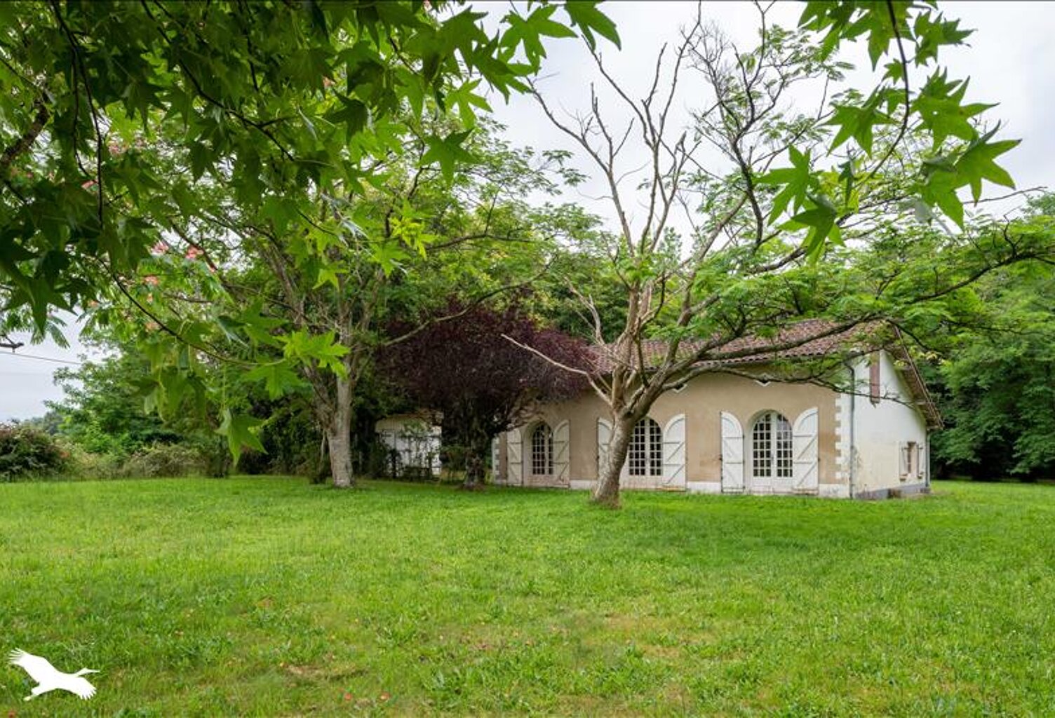 Traditionnelle de 5 pièces principales — photo 1