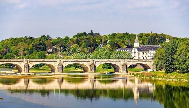 Propriété 10 pièces  à vendre Tours 37000