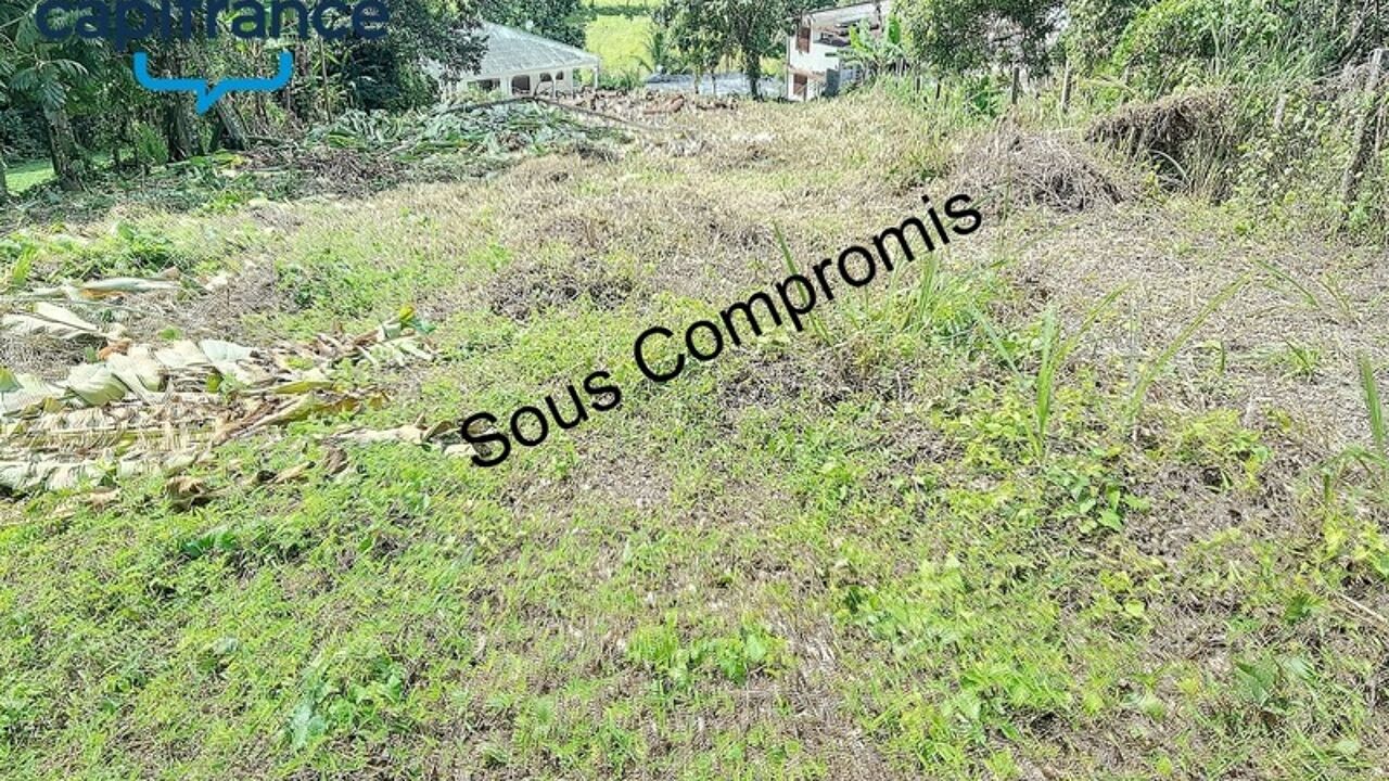 terrain  pièces 1000 m2 à vendre à Petit-Bourg (97170)