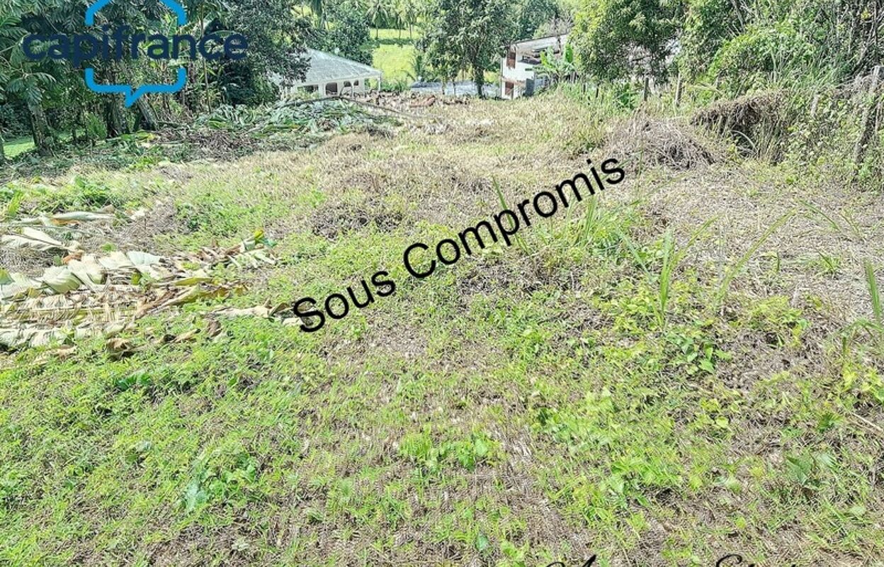 terrain  pièces 1000 m2 à vendre à Petit-Bourg (97170)