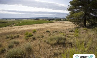 Photo N° 4