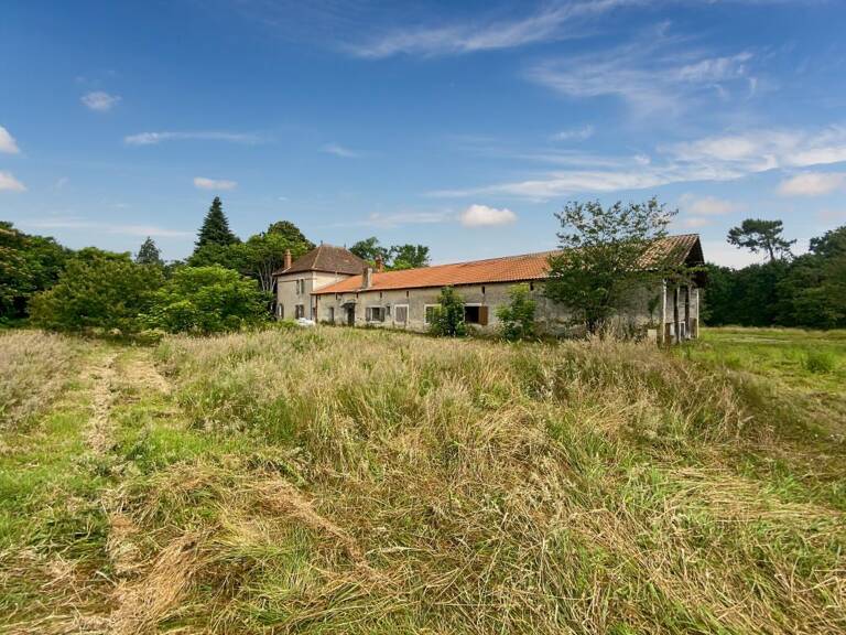 Landaises de 500m2 à Uchacq et Parentis — photo 1