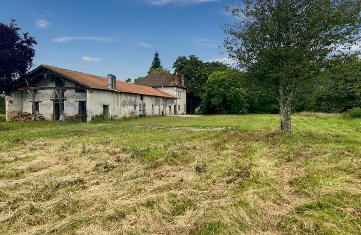Landaises de 500m2 à Uchacq et Parentis — photo 3