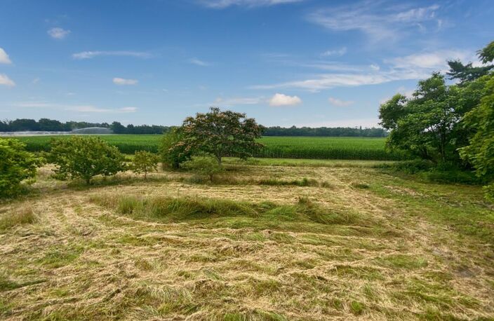 Landaises de 500m2 à Uchacq et Parentis — photo 4