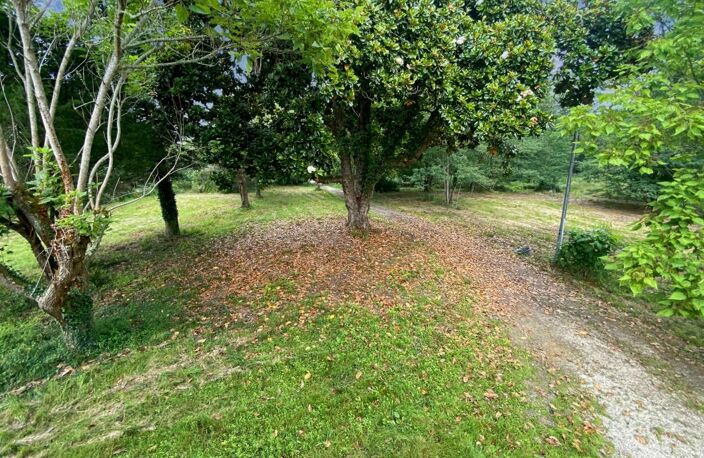 Landaises de 500m2 à Uchacq et Parentis — photo 5