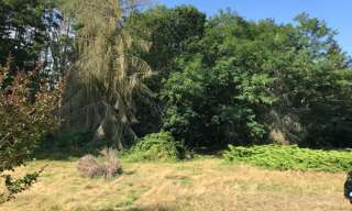 Terrain  6300 m² à vendre à La Ferté-Saint-Cyr (41220)