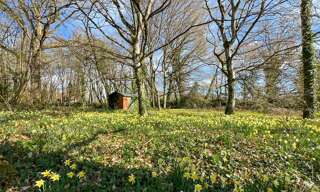 Terrain  6300 m² à vendre à La Ferté-Saint-Cyr (41220)