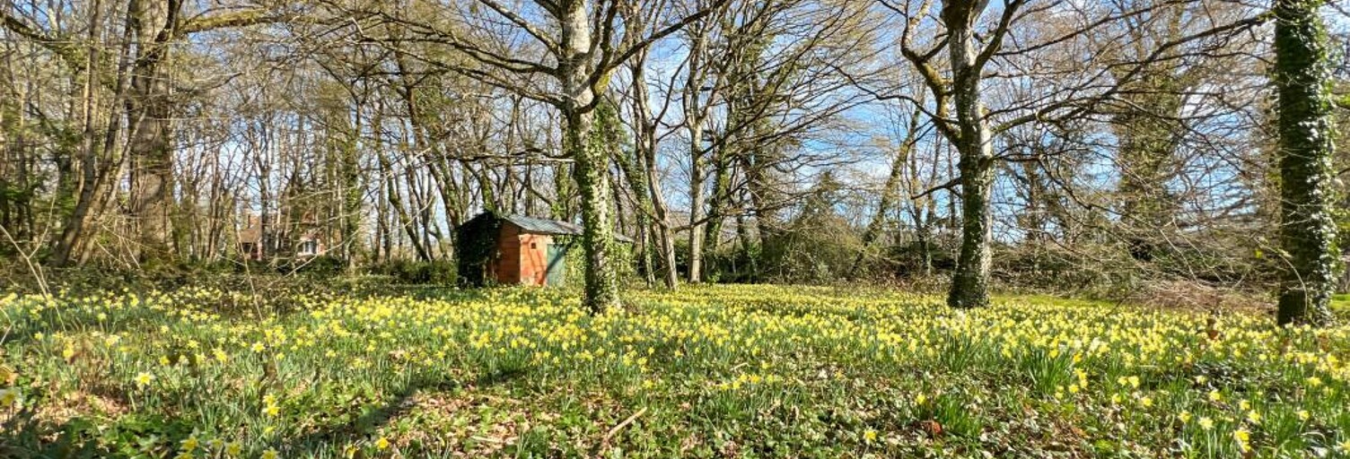 Terrain  6300 m² à vendre à La Ferté-Saint-Cyr (41220)