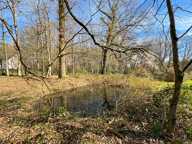 🌲 RARE & DIVISIBLE : Terrain boisé de 6 300 m² entièrement constructible – La Ferté-Saint-Cyr (Sologne) — photo 2