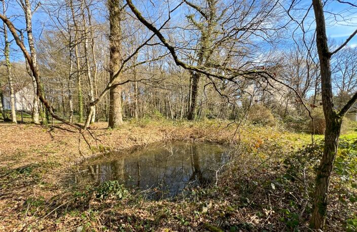 🌲 RARE & DIVISIBLE : Terrain boisé de 6 300 m² entièrement constructible – La Ferté-Saint-Cyr (Sologne) — photo 2