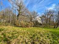 🌲 RARE & DIVISIBLE : Terrain boisé de 6 300 m² entièrement constructible – La Ferté-Saint-Cyr (Sologne) — photo 3