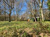 🌲 RARE & DIVISIBLE : Terrain boisé de 6 300 m² entièrement constructible – La Ferté-Saint-Cyr (Sologne) — photo 4