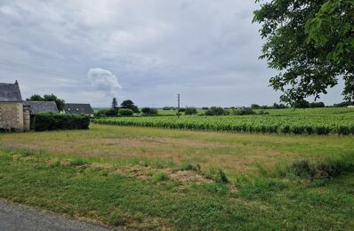 terrain  pièces 1215 m2 à vendre à Chouzé-sur-Loire (37140)