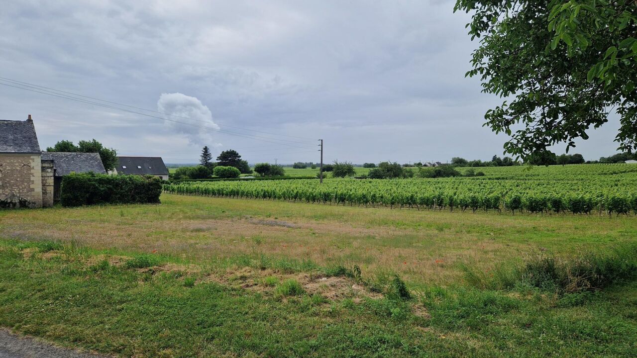 terrain  pièces 1215 m2 à vendre à Chouzé-sur-Loire (37140)